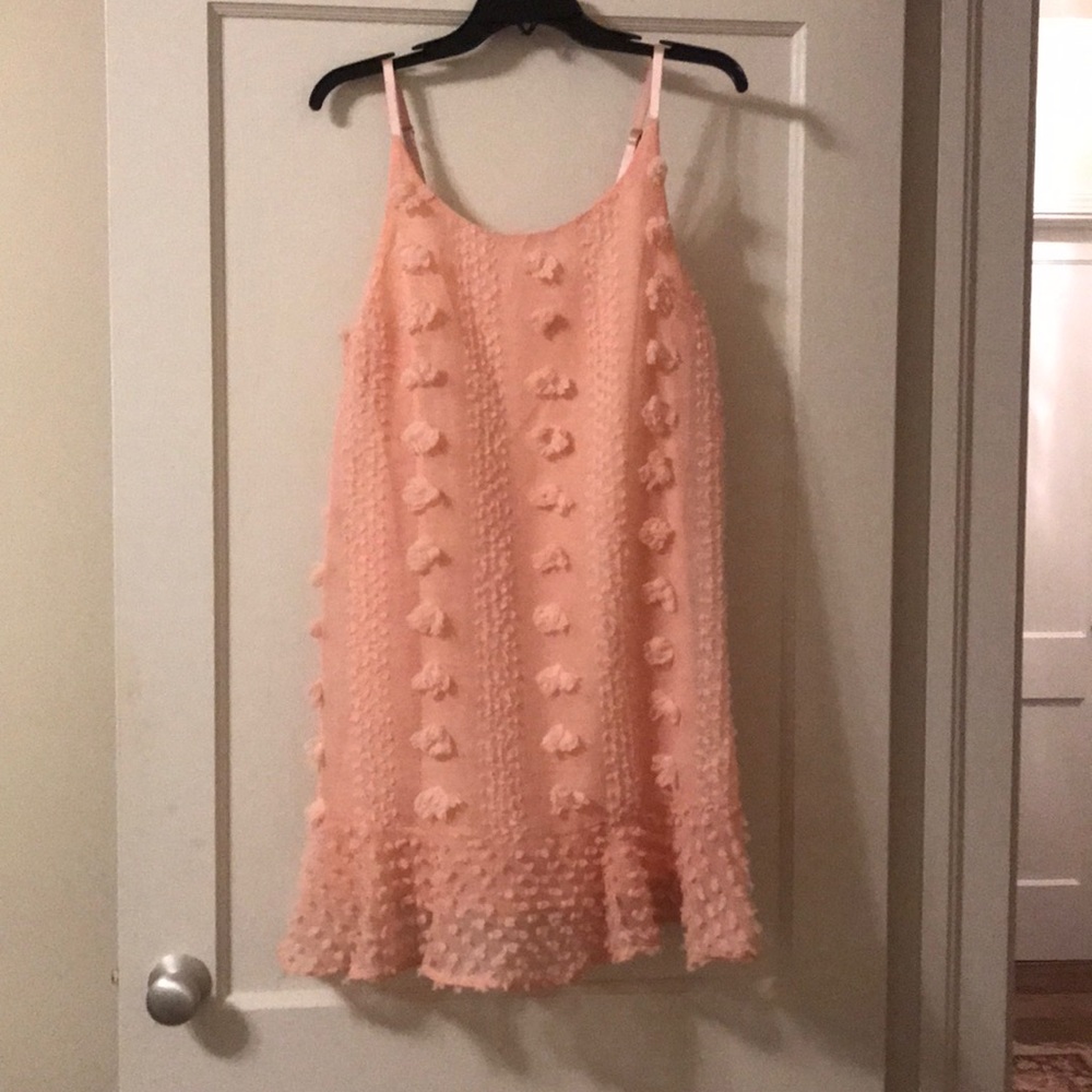 Adorable Link Pink Dress: never worn